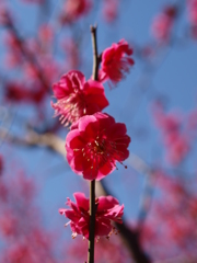 大高緑地公園にて　
