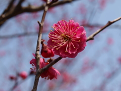 大高緑地公園にて