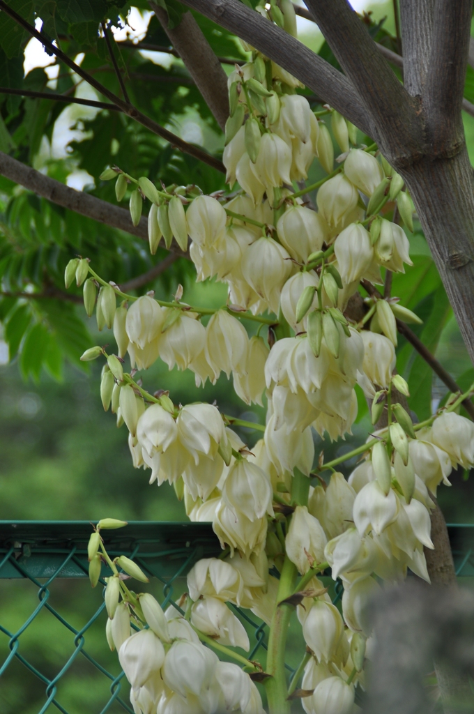 大高緑地公園にて　