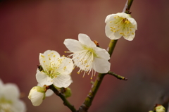 大高緑地公園にて　