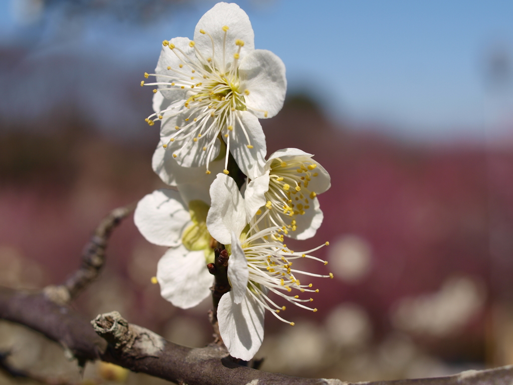 大高緑地公園にて　