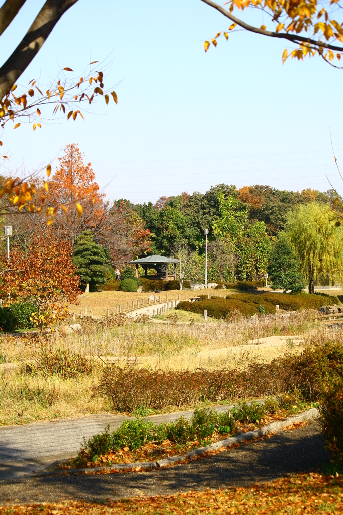 大高緑地公園にて