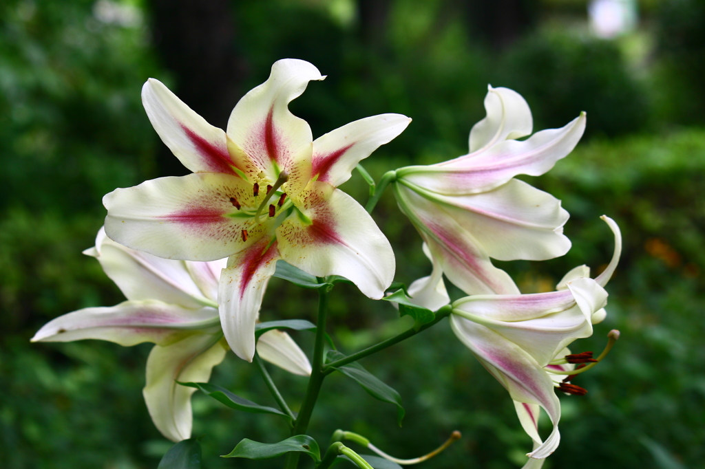 名古屋市農業センターにて