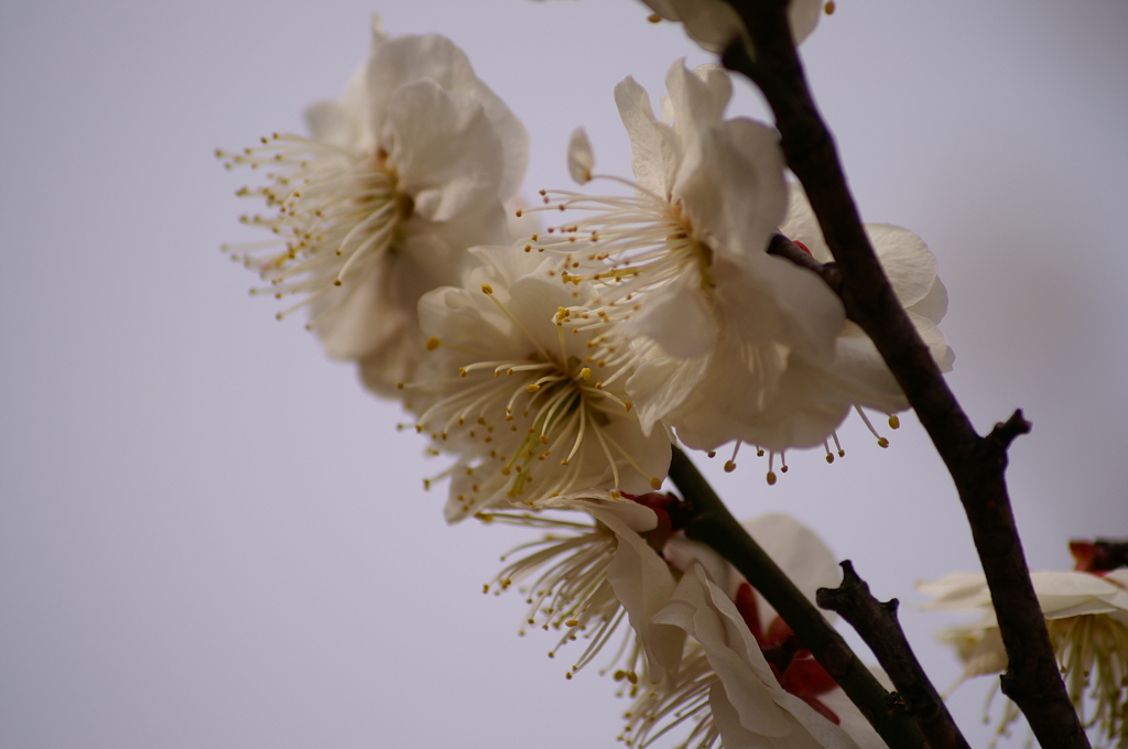 大高緑地公園にて　