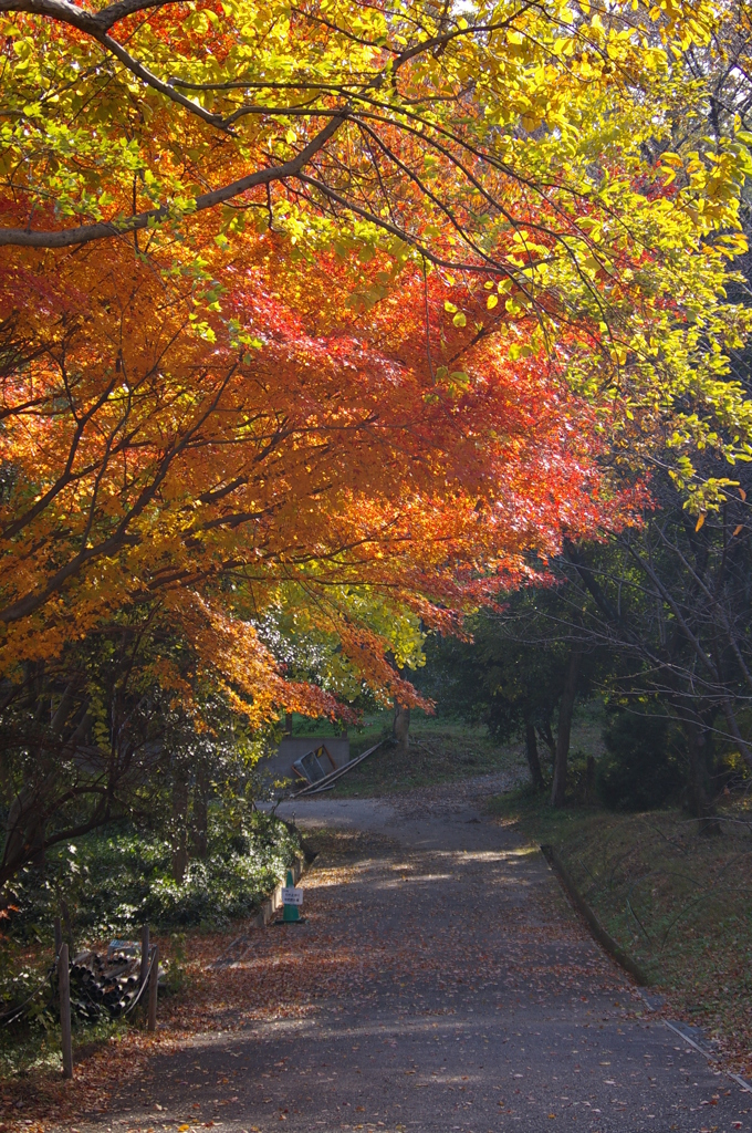 名古屋市農業センターにて