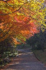 名古屋市農業センターにて