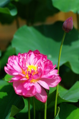 名古屋市農業センターにて　