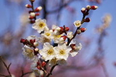 大高緑地公園にて