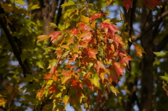 今の君はキラキラに光って^^