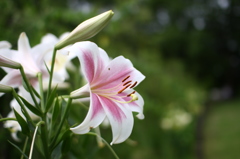 名古屋市農業センターにて　