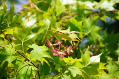 大高緑地公園にて　