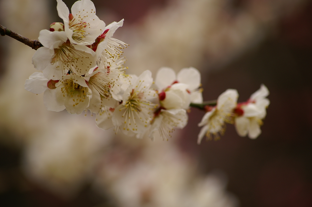 大高緑地公園にて　