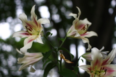 名古屋市農業センターにて　