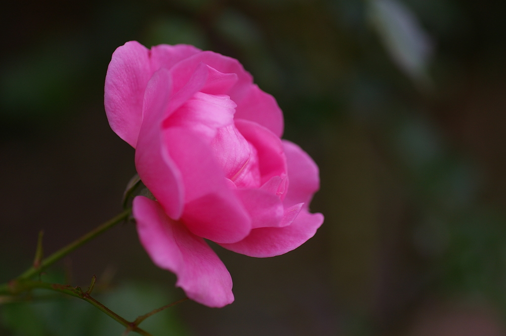 みどりが丘公園にて　