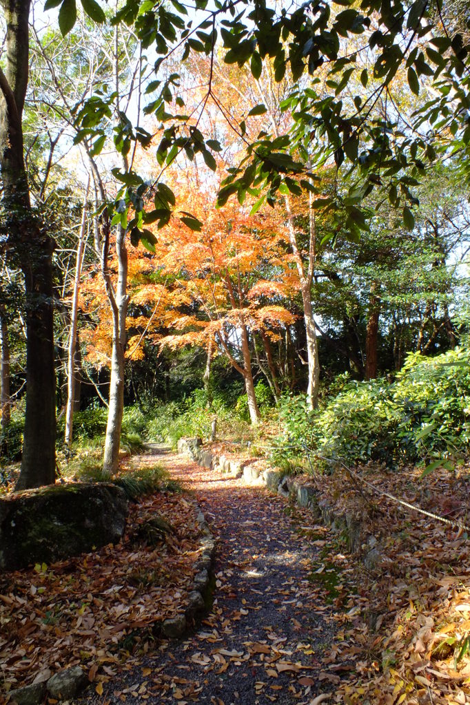 名古屋市農業センターにて　１２月１３日 035