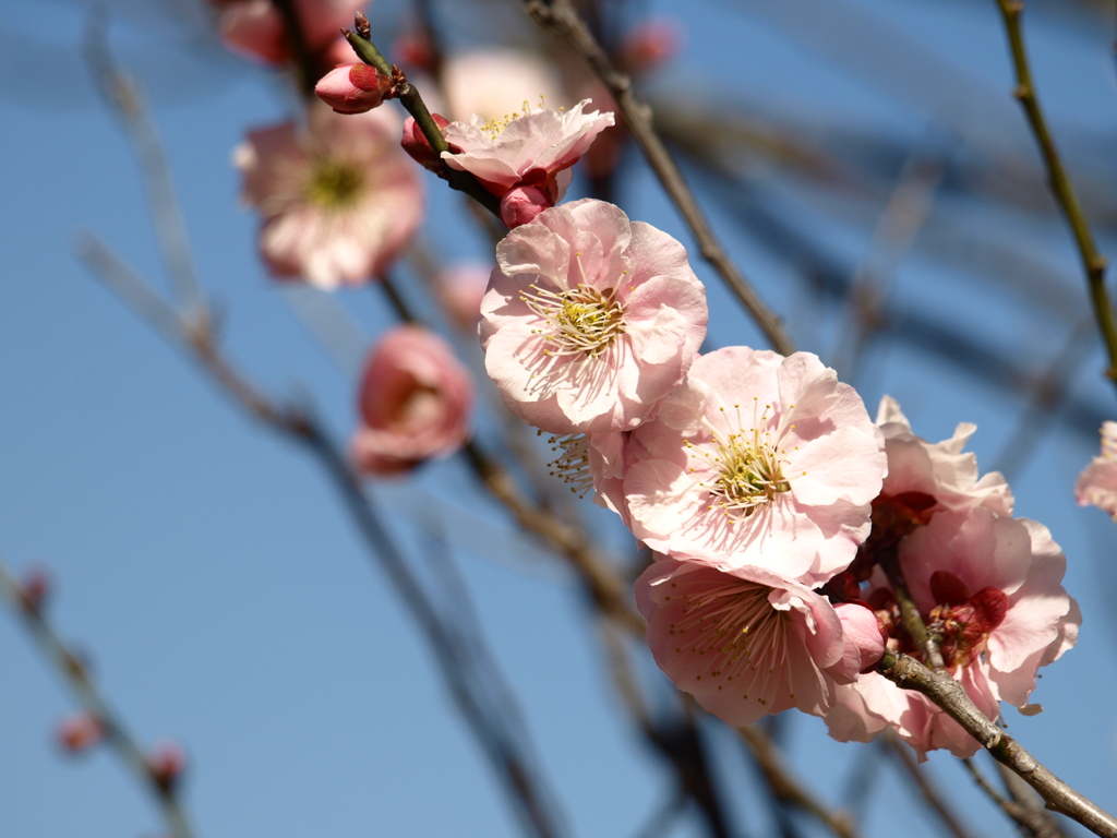 大高緑地公園にて　