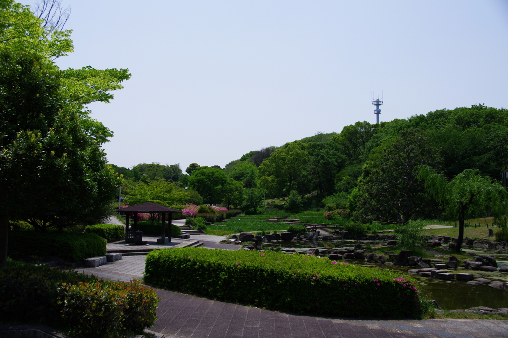 大高緑地公園にて　
