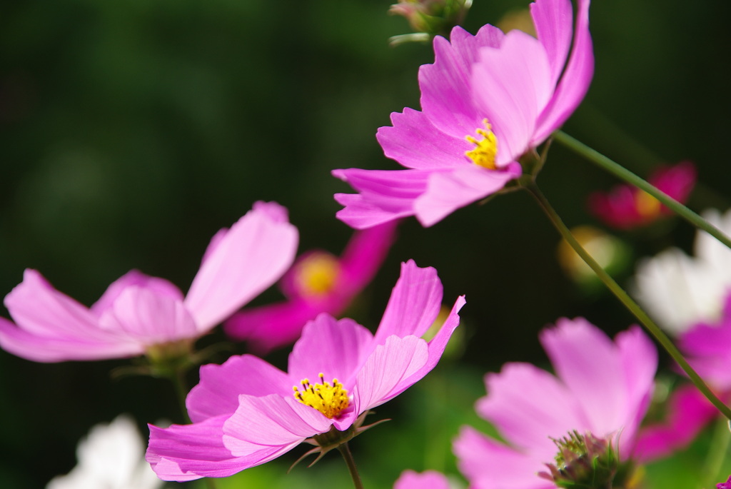 みどりが丘公園にて　