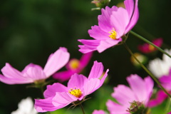 みどりが丘公園にて　