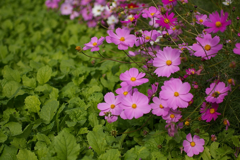 みどりが丘公園にて　