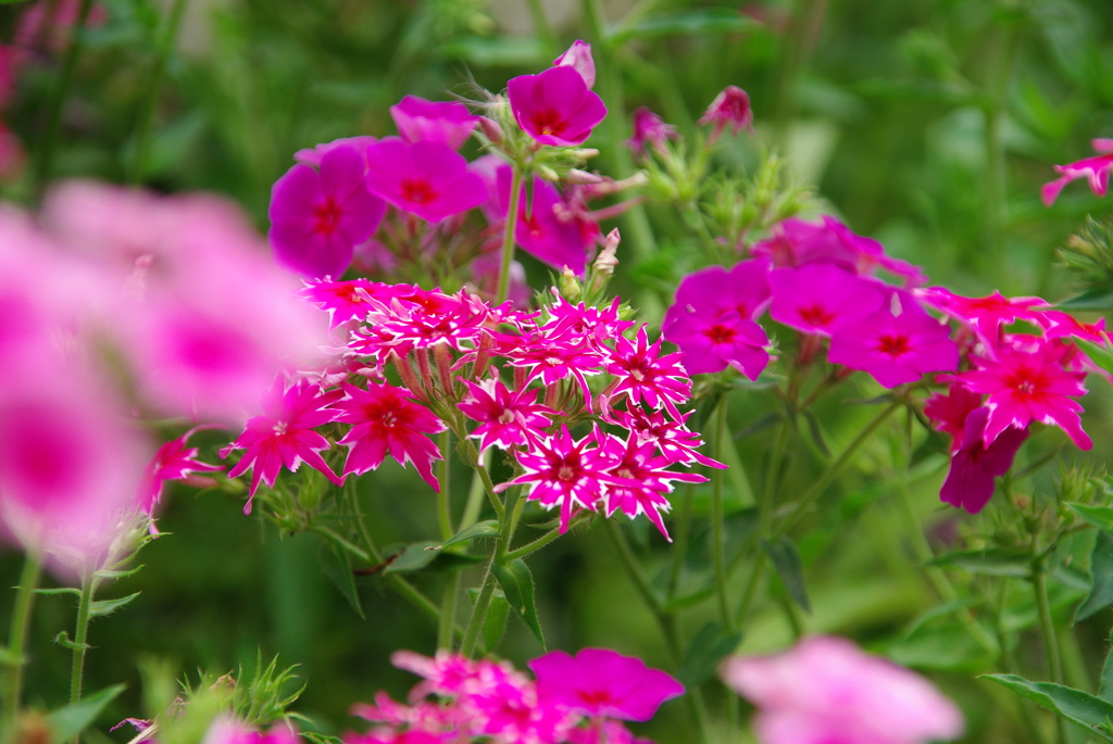 名古屋市農業センターにて　