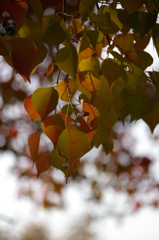 お日さまの恵み^^