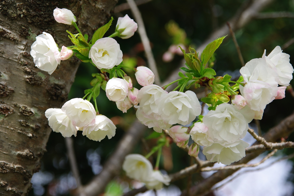 大高緑地公園にて　