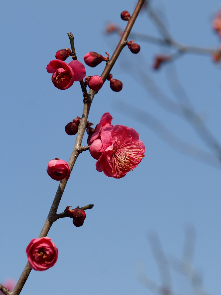 大高緑地公園にて
