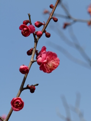 大高緑地公園にて