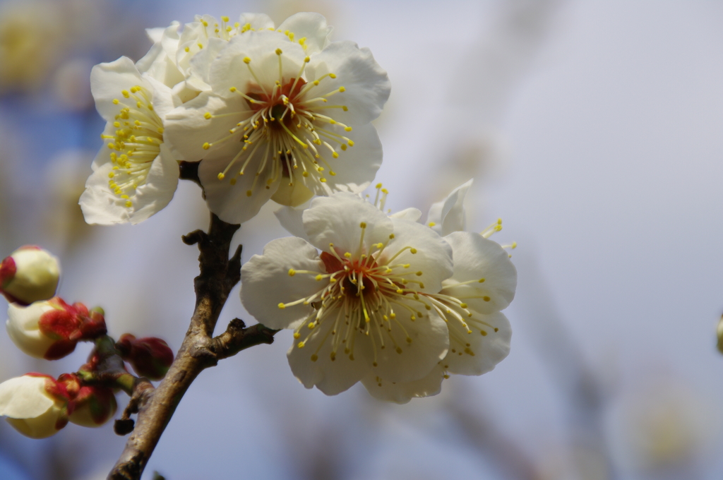 大高緑地公園にて　
