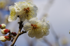 大高緑地公園にて　