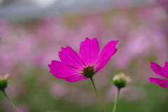 みどりが丘公園にて　