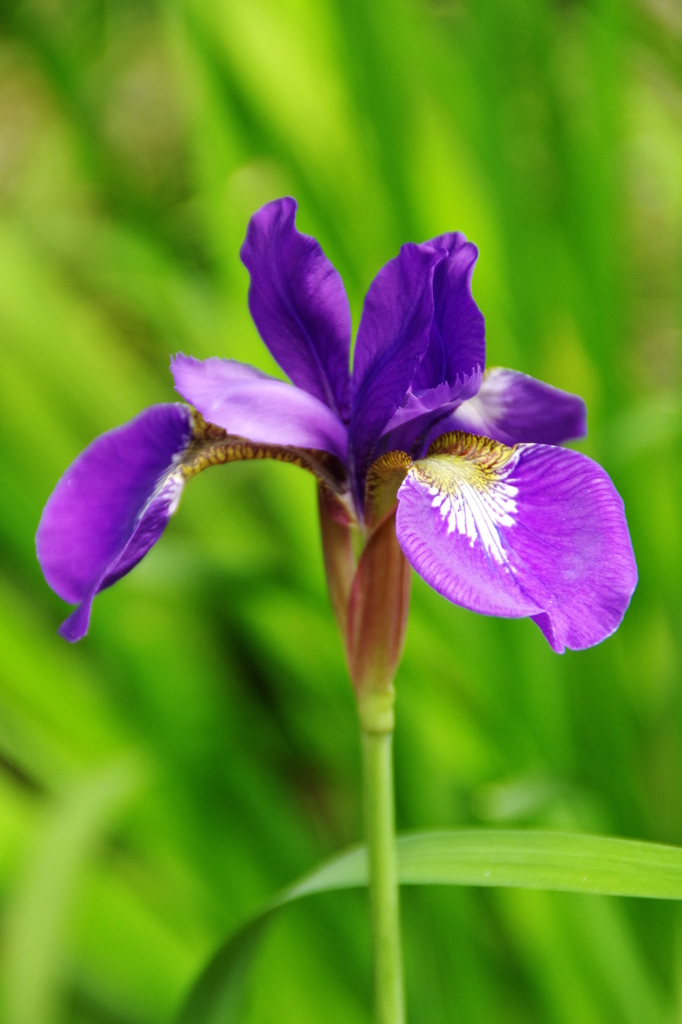 名古屋市農業センターにて　
