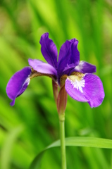 名古屋市農業センターにて　