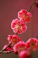 大高緑地公園にて　