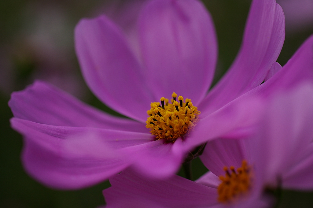みどりが丘公園にて　