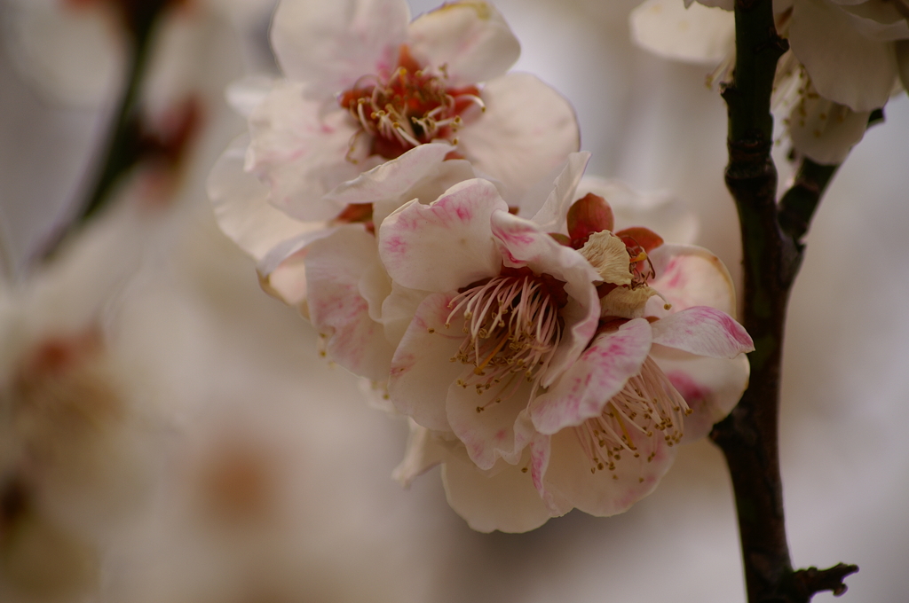 大高緑地公園にて　