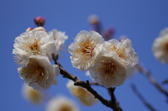 大高緑地公園にて