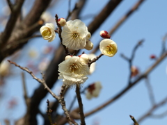 大高緑地公園にて