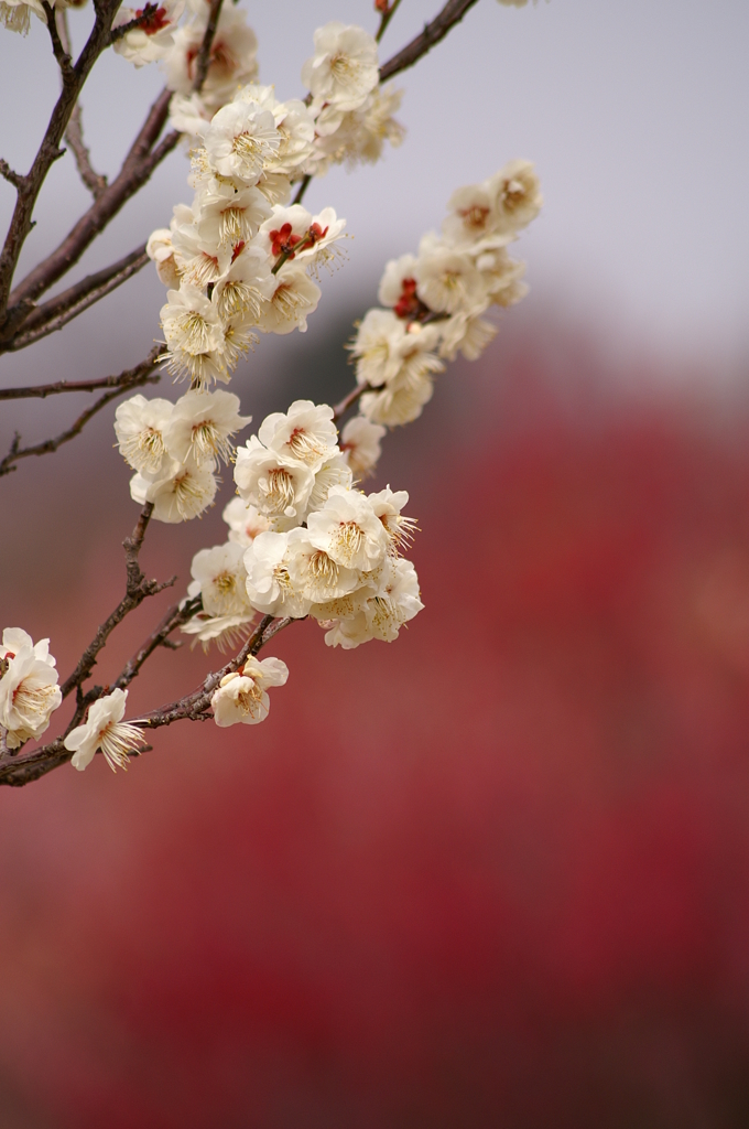 大高緑地公園にて　