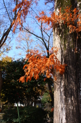 名古屋市農業センターにて