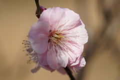 大高緑地公園にて　