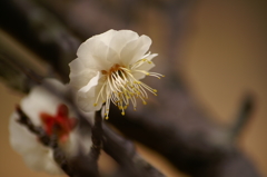 大高緑地公園にて　