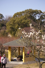 大高緑地公園にて