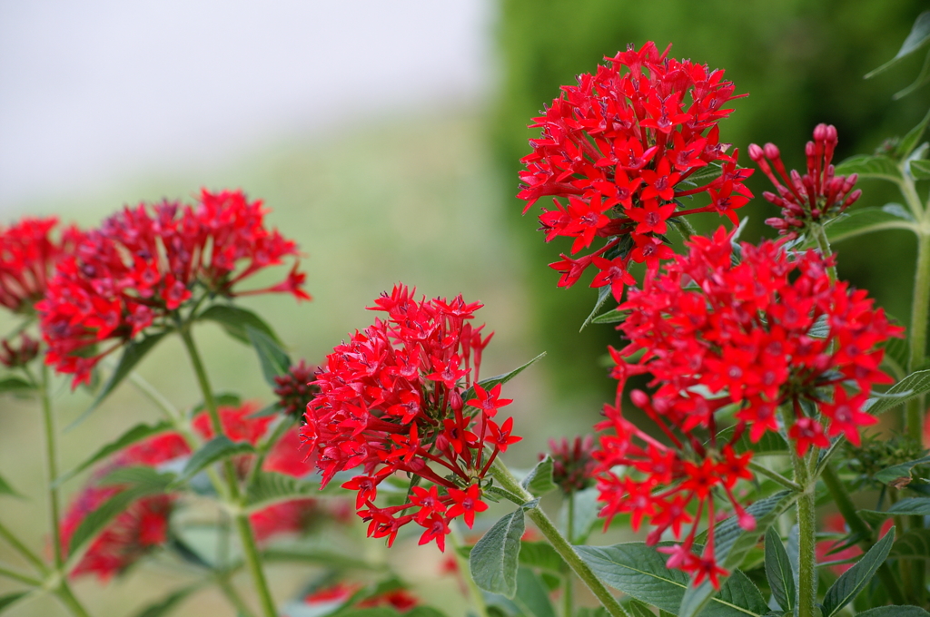 名古屋市農業センターにて　