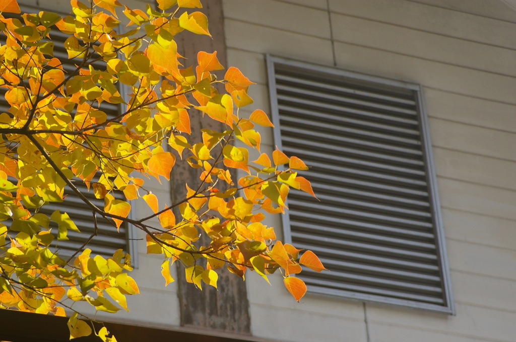 名古屋市農業センターにて