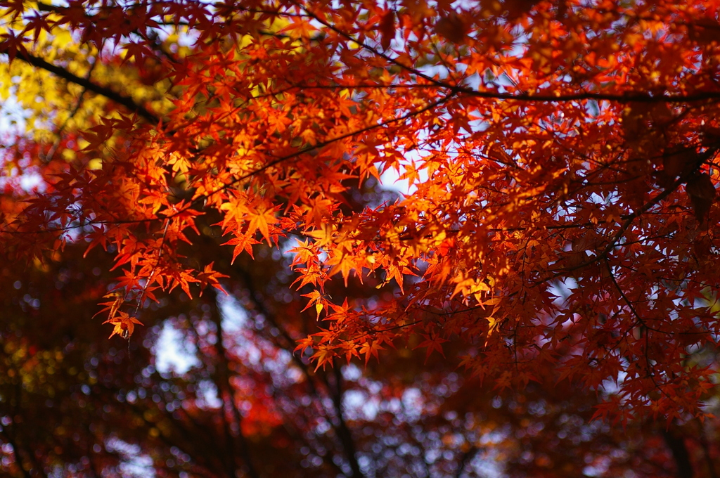 日差しが嬉しくて^^