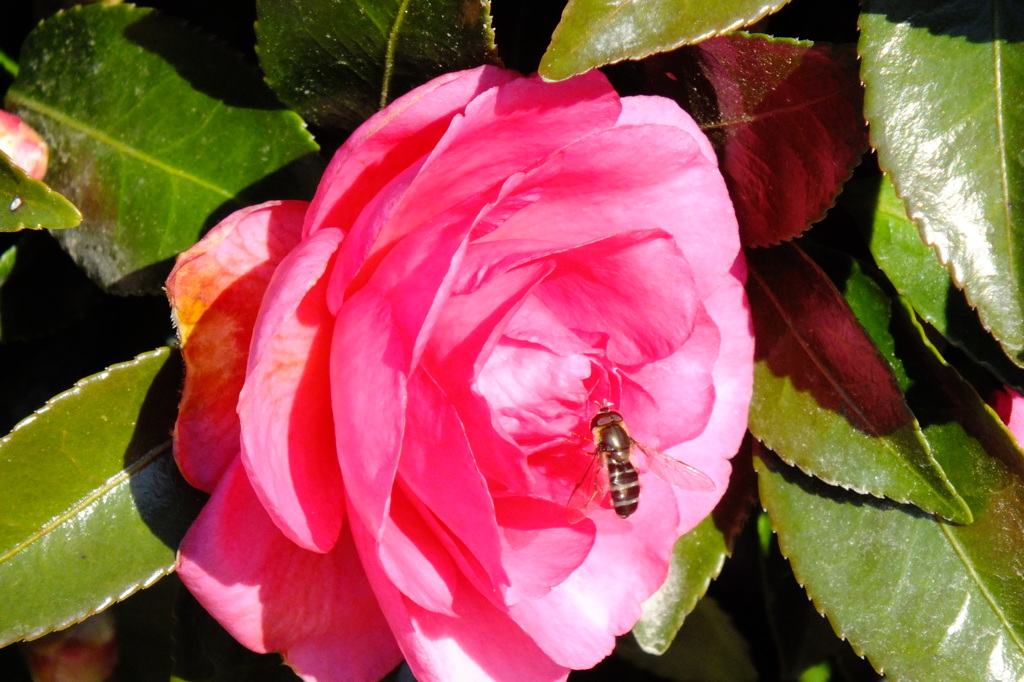 邪魔しないでよ^^