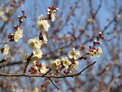 大高緑地公園にて