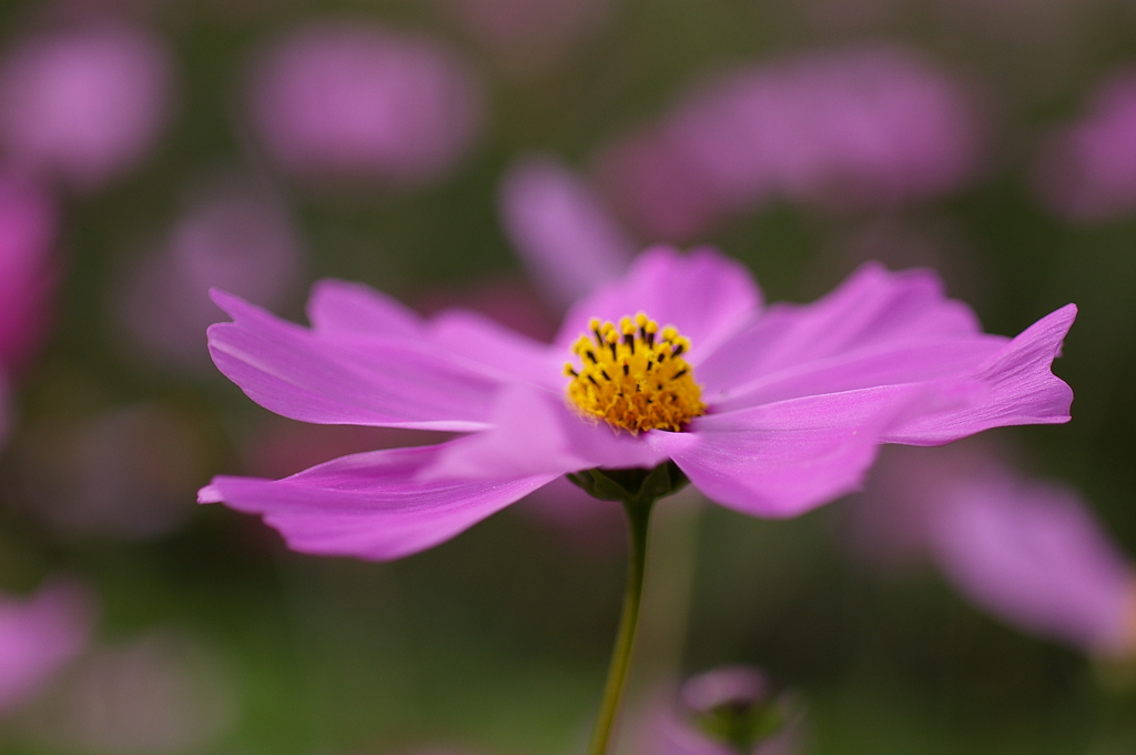 みどりが丘公園にて　